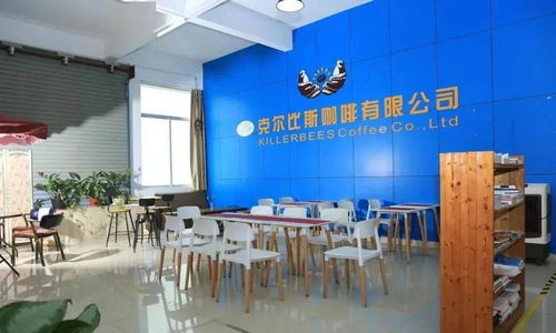 點贊！坦洲一企業入選廣東省工業旅游培育資源庫，文化藝術交流策劃點亮工業新風景