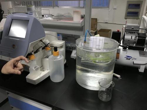 貝愛益生全國合伙人齊聚科爾工廠，零距離見證羊初乳CPP復合粉安全生產(chǎn)與網(wǎng)絡(luò)安全技術(shù)研發(fā)